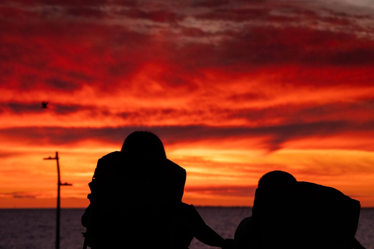 Eiffel Tower (night)