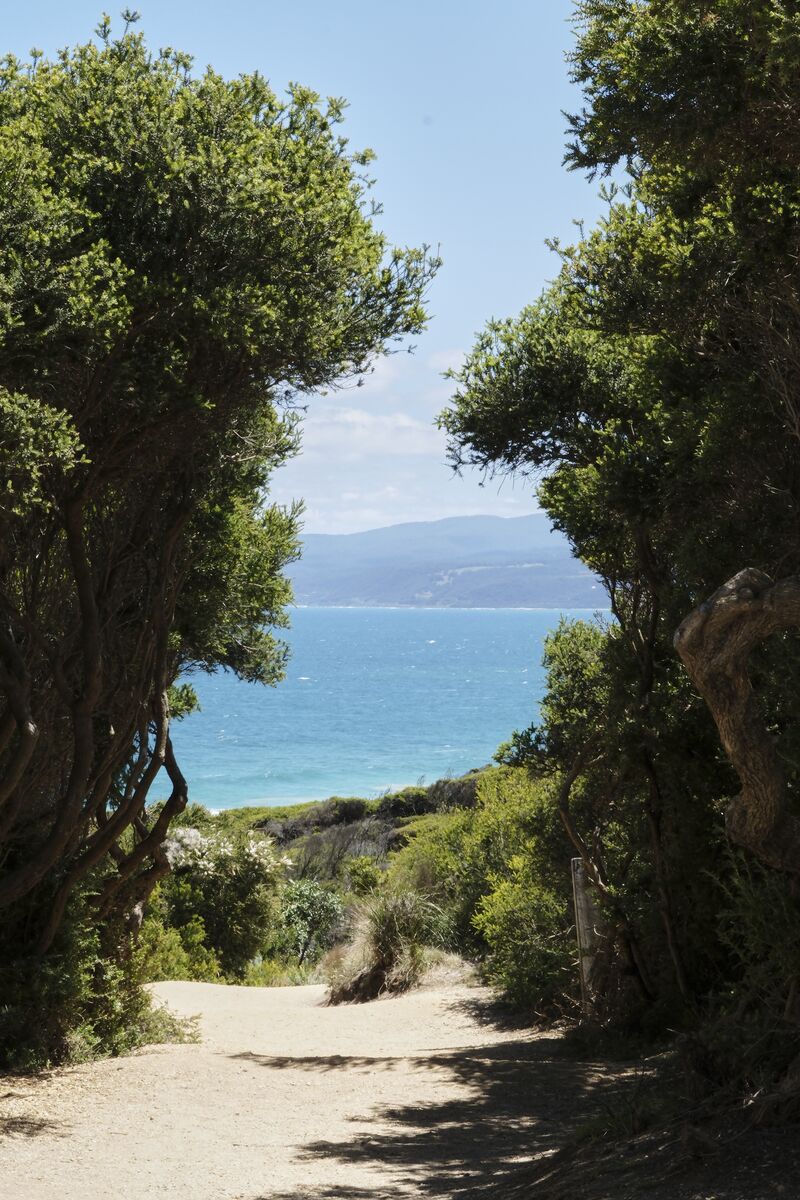 Eiffel Tower (daytime)