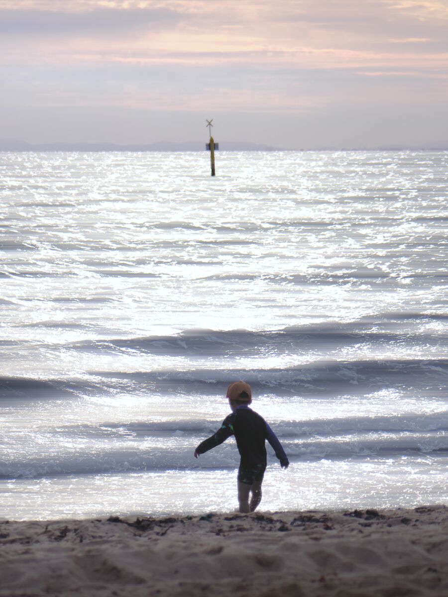 Eiffel Tower (daytime)