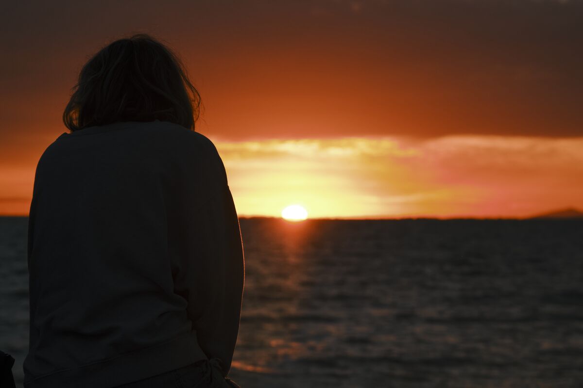 Eiffel Tower (night)
