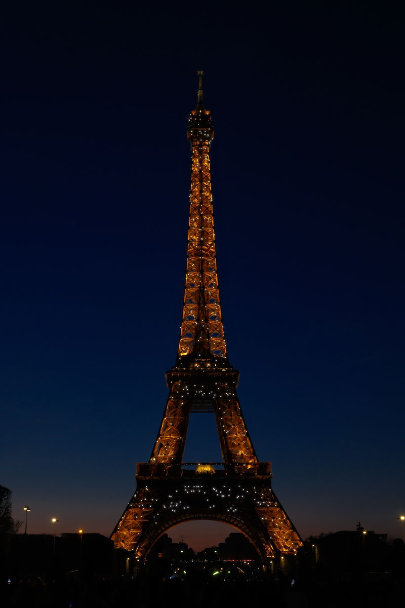 Eiffel Tower (daytime)